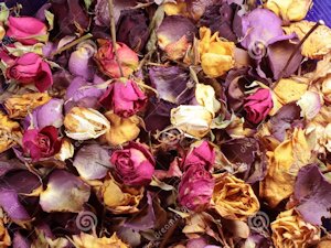 Potpourri